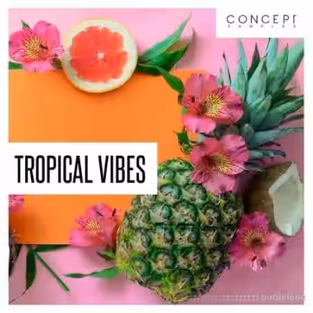 Concept Samples Tropical Vibes [WAV] - Sample Pack Artwork