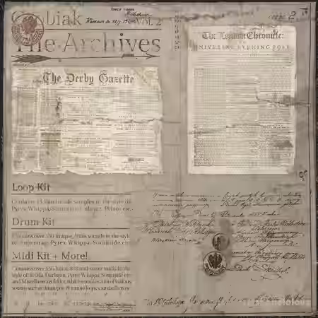 Coobiak Archives Vol.2 [WAV, MiDi, Synth Presets] - Sample Pack Artwork