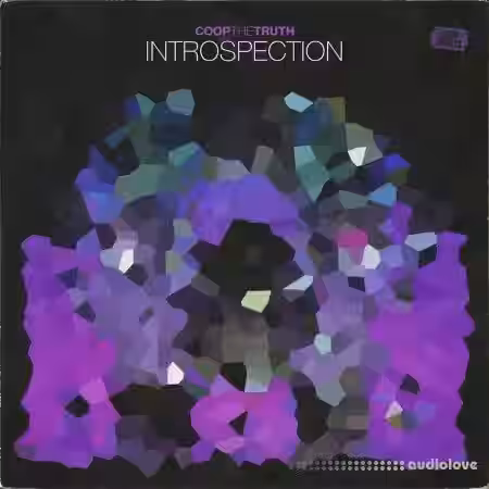 Coop The Truth INTROSPECTION (One Shots) [WAV] - Sample Pack Artwork