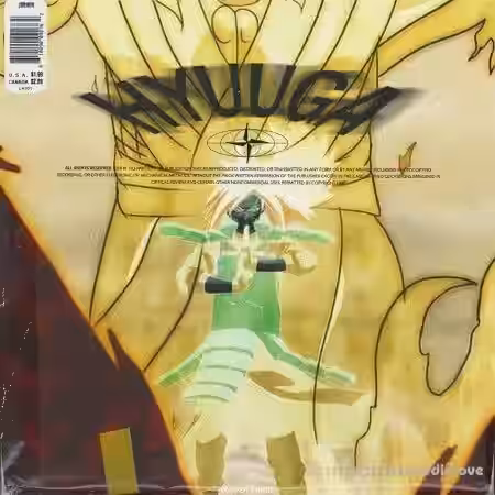 Cooper x Netis Hyuuga Drum Kit [WAV] - Sample Pack Artwork