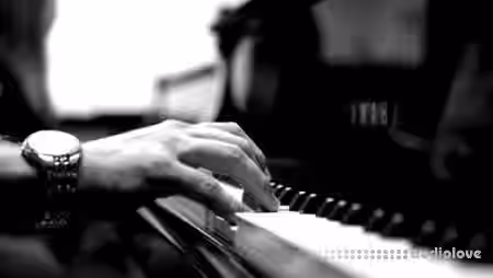 Coursera Berklee Developing Your Musicianship [TUTORiAL] - Sample Pack Artwork