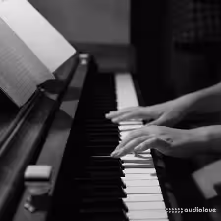 Coursera Berklee Musicianship Chord Charts, Diatonic Chords, and Minor Keys [TUTORiAL] - Sample Pack Artwork