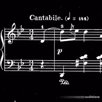 Coursera Michigan State University Getting Started with Music Theory [TUTORiAL]