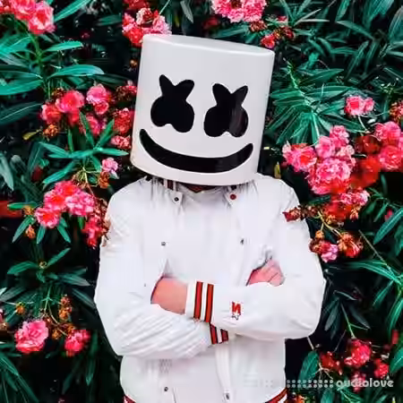 Creator Arcade Marshmello Summer [TUTORiAL] - Sample Pack Artwork