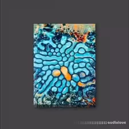 Crypticx Hkmk Universe Midi Kit [MiDi] - Sample Pack Artwork