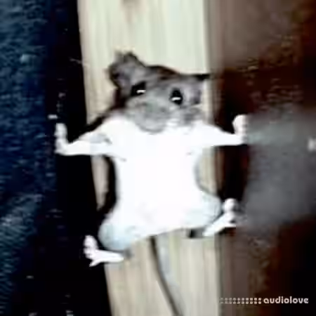 Cxdy Go To 2023 (Drum & Loop Collection) [WAV] - Sample Pack Artwork