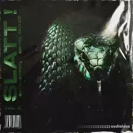 Daniel Taylor SLATT ! Sample Pack Vol.2 (20 Samples, Stems + MIDIs) [WAV, MiDi] - Sample Pack Artwork