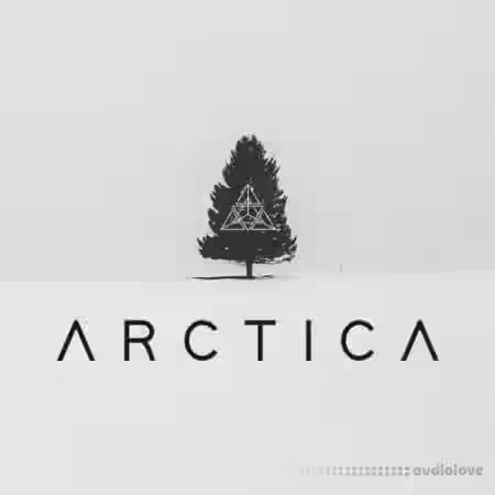 Dark Intervals ARCTICA [KONTAKT] - Sample Pack Artwork