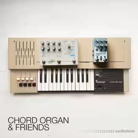 David Hilowitz Chord Organ and Friends [Patreon Exclusive] [Decent Sampler] [Synth Presets] - Sample Pack Artwork