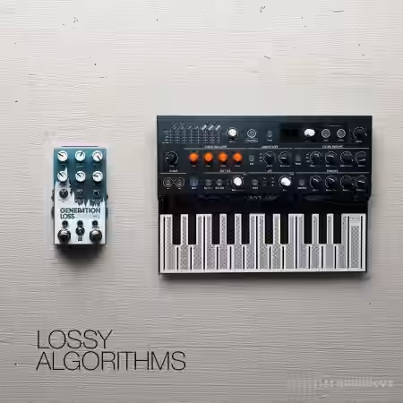 David Hilowitz Lossy Algorithms [Patreon Exclusive] [Decent Sampler] [Synth Presets] - Sample Pack Artwork