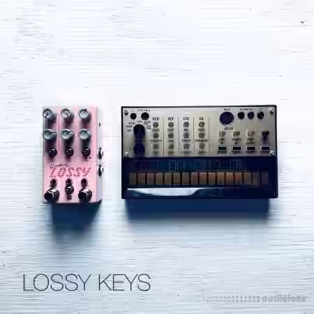 David Hilowitz Lossy Keys by Decent Samples [Decent Sampler] v1.0 [Synth Presets] - Sample Pack Artwork