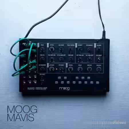 David Hilowitz Moog Mavis + Experiments [Patreon Exclusive] [Decent Sampler] [Synth Presets] - Sample Pack Artwork