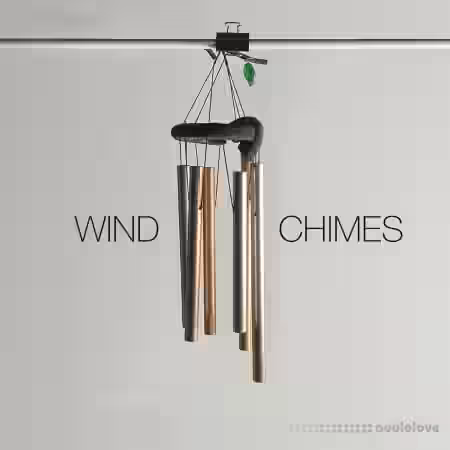 David Hilowitz Wind Chimes [Patreon Exclusive] [Decent Sampler] [Synth Presets] - Sample Pack Artwork