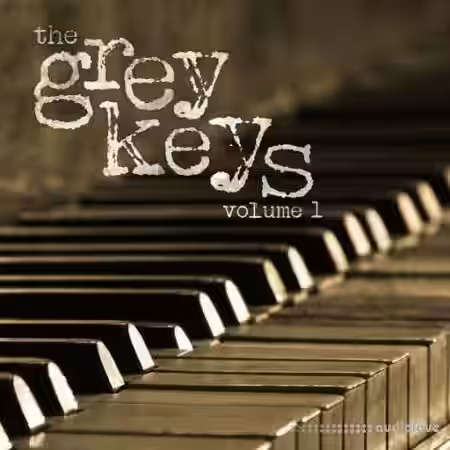 David Hodges The Grey Keys [WAV] - Sample Pack Artwork