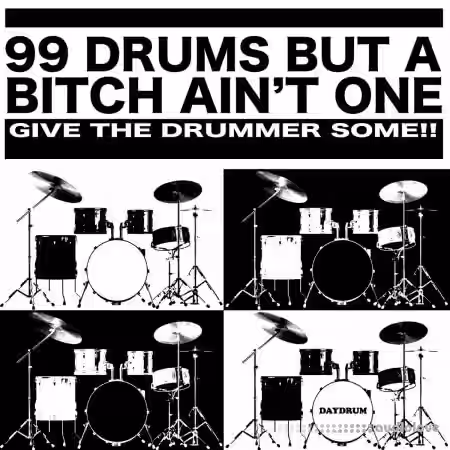 Daydrum 99 Drums But A Bitch Ain't One [WAV] - Sample Pack Artwork