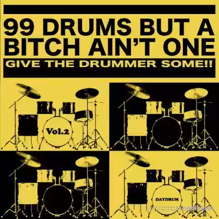Daydrum 99 Drums But A Bitch Ain't One Vol.2 [WAV] - Sample Pack Artwork