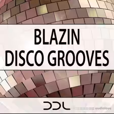 Deep Data Loops Blazin Disco Grooves [WAV, MiDi] - Sample Pack Artwork