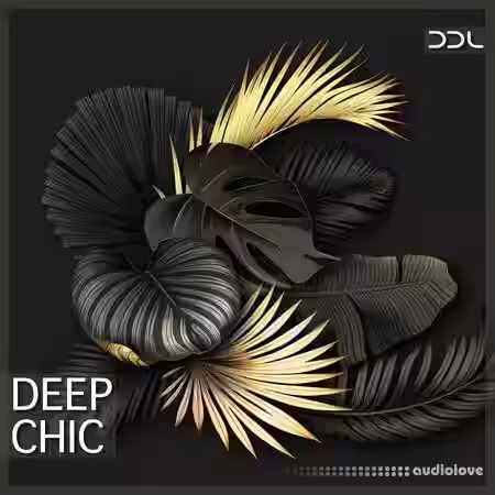 Deep Data Loops Deep Chic [WAV, MiDi] - Sample Pack Artwork