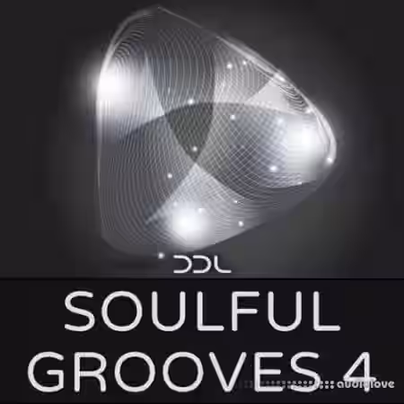 Deep Data Loops Soulful Grooves 4 [WAV, MiDi] - Sample Pack Artwork