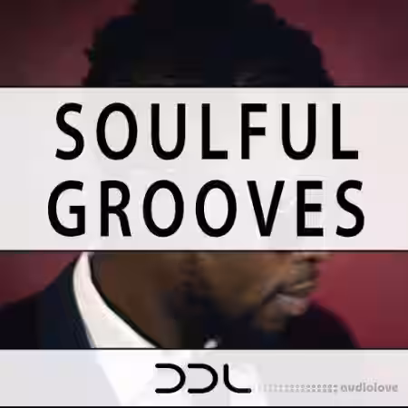 Deep Data Loops Soulful Grooves [WAV, MiDi] - Sample Pack Artwork