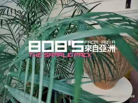 DELAY 808's from Asia The Sample Pack [WAV] - Sample Pack Artwork