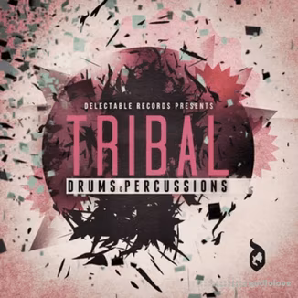 Delectable Records Tribal Drums and Percussion [WAV]