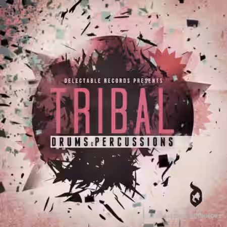 Delectable Records Tribal Drums and Percussion [WAV] - Sample Pack Artwork