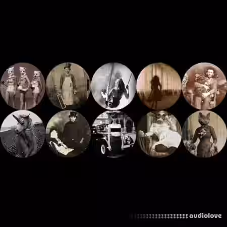 Delusion Sample Pack Volume 1 [WAV, MiDi] - Sample Pack Artwork