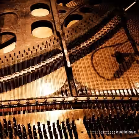 Detunized Rolfing Laid Back Vol.1 [MULTiFORMAT] - Sample Pack Artwork