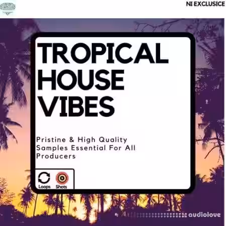 Diamond Sounds Tropical House Vibes [WAV] - Sample Pack Artwork