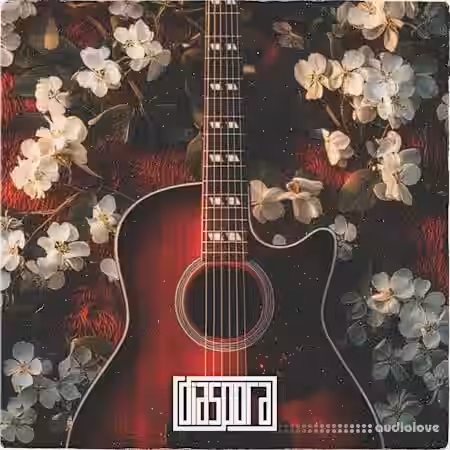 Diaspora Amor Rico [WAV] - Sample Pack Artwork