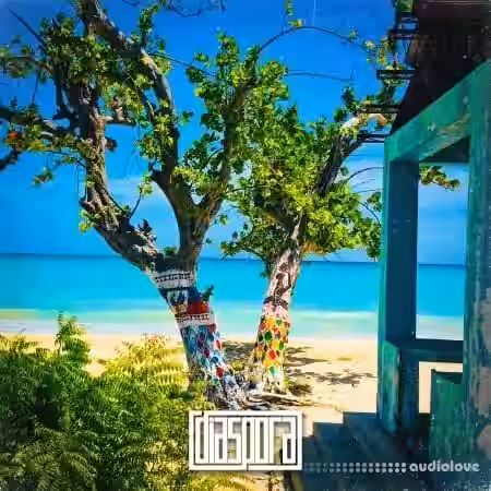 Diaspora Men Kompa [WAV] - Sample Pack Artwork