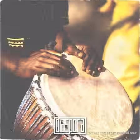 Diaspora of Sound Vol.2 [WAV] - Sample Pack Artwork