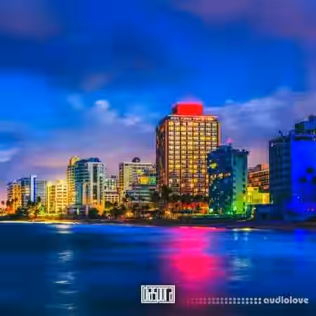 Diaspora Perreo Reggaeton [WAV] - Sample Pack Artwork