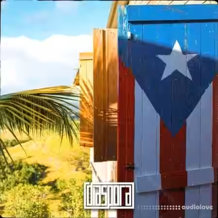 Diaspora Pulse Reggaeton [WAV] - Sample Pack Artwork