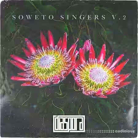 Diaspora Soweto Singers Vol.2 [WAV] - Sample Pack Artwork