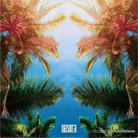 Diaspora Under The Sun Caribbean Drums [WAV] - Sample Pack Artwork