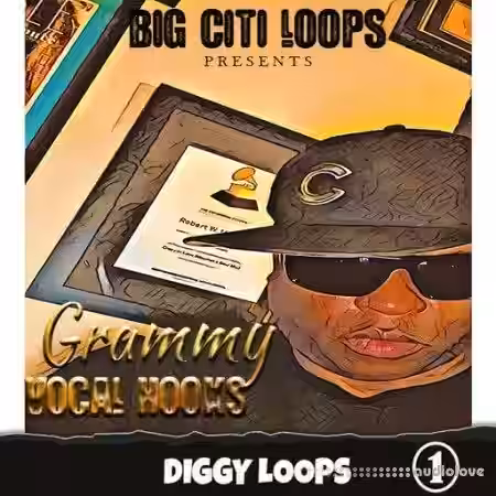 Diggy Loops Grammy Vocal Hooks [WAV] - Sample Pack Artwork