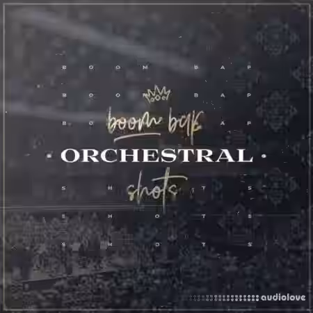 Diginoiz Boom Bap Orchestral Shots [WAV] - Sample Pack Artwork