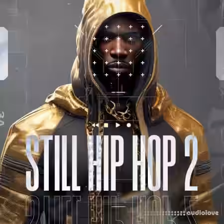 Diginoiz Still Hip Hop 2 [WAV] - Sample Pack Artwork