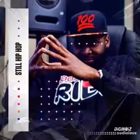 Diginoiz Still Hip Hop [WAV] - Sample Pack Artwork