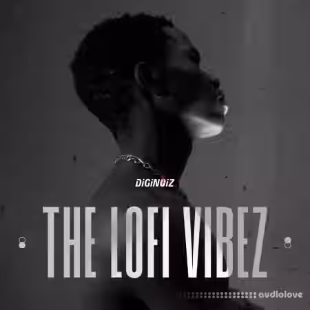 Diginoiz The Lofi Vibez [WAV] - Sample Pack Artwork