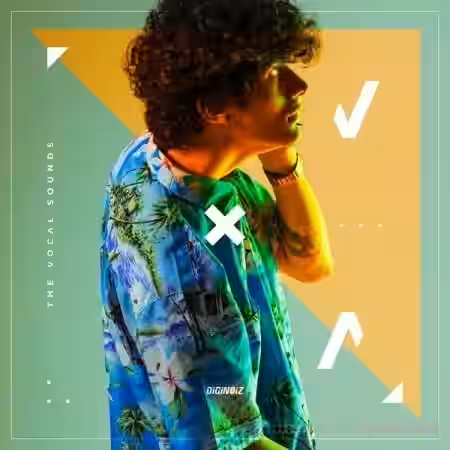 Diginoiz The Vocal Sounds [WAV] - Sample Pack Artwork