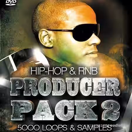Digital Loopline HipHop and RnB Producer Pack 2 [ACiD, WAV] - Sample Pack Artwork