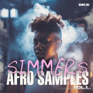 Dik3l Sounds Simmers Vol 1 – Afro Samples [WAV, MiDi]
