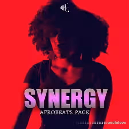 Dik3l Sounds Synergy Afrobeats [WAV, MiDi] - Sample Pack Artwork