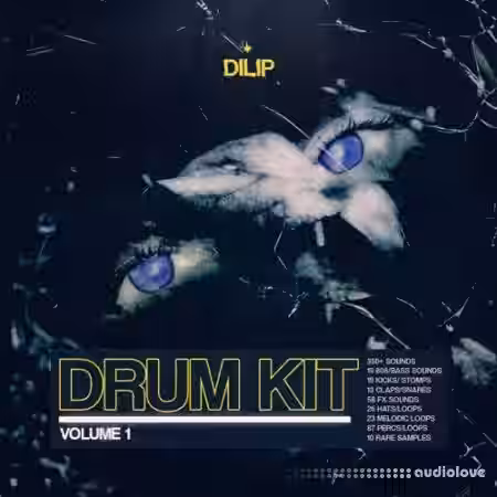 Dilip Drum Kit Vol.1 [WAV] - Sample Pack Artwork