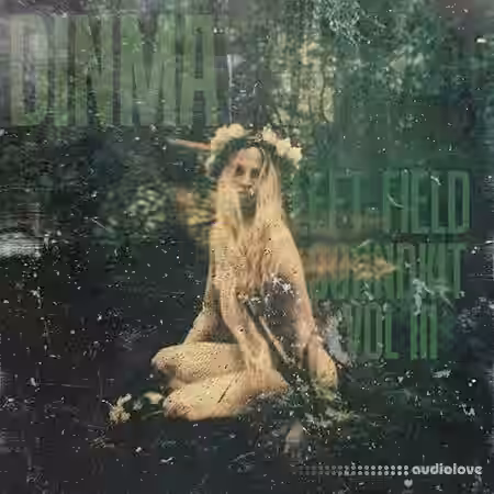 Dinma Beats Leftfield Sound Kit III [MP3] - Sample Pack Artwork