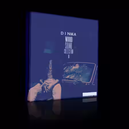 Dinma Beats Mood Sound Collection II [WAV] - Sample Pack Artwork