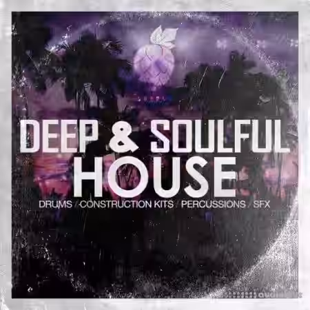 Dirty Music Deep and Soulful House [WAV] - Sample Pack Artwork